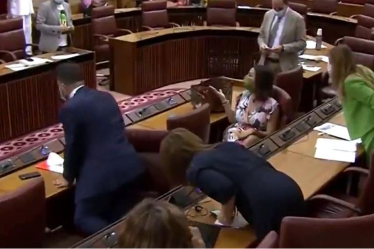 VIDEO: संसदेत घुसून उंदरानं घातला धुमाकूळ; कामकाज सोडून पळू लागले खासदार