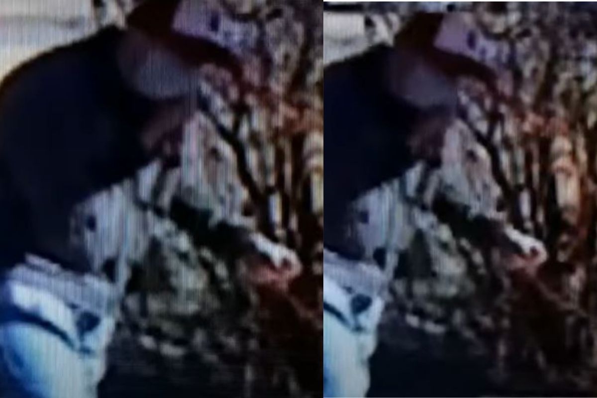 टीप न देणाऱ्या ग्राहकाला पिझ्झा डिलिव्हरी बॉयनं घडवली अद्दल; VIDEO होतोय व्हायरल