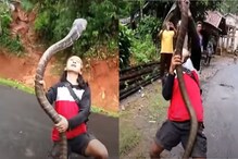 महिलेनं हातामध्ये पकडला भलामोठा किंग कोब्रा अन्..; अंगावर काटा आणणारा VIDEO महिलेनं हातामध्ये पकडला भलामोठा किंग कोब्रा अन्..; अंगावर काटा आणणारा VIDEO