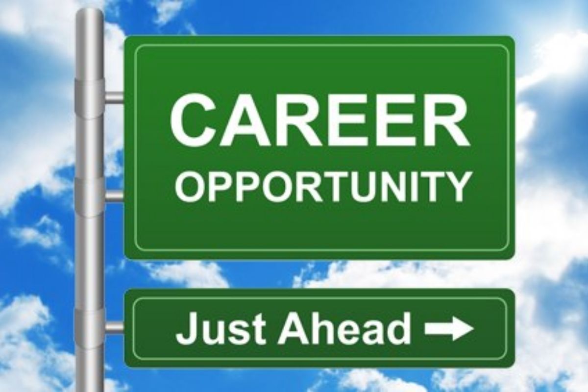 परीक्षेत कमी मार्क्स आलेत तर आता नो टेन्शन; या क्षेत्रांमध्ये करा करिअर; मिळेल भरघोस पगार