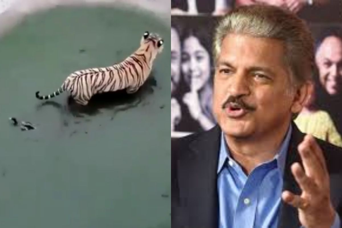 आनंद महिंद्रांनी तरुणांना सांगितली महत्त्वाची बिजनेस ट्रिक; 42 लाख वेळा पाहिला गेला VIDEO