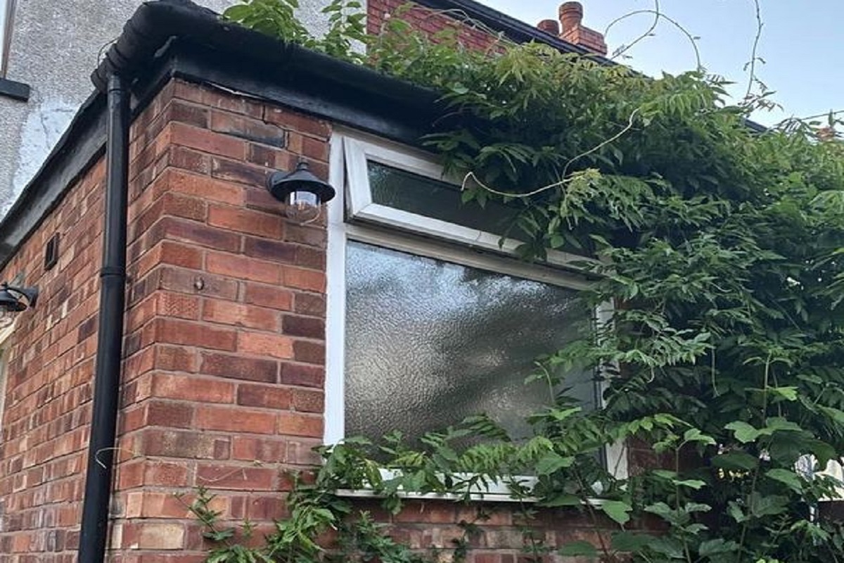 एका चिठ्ठीने उलगडलं 'बाथरूम सिक्रेट'; वाचूनच महिलेला फुटला घाम