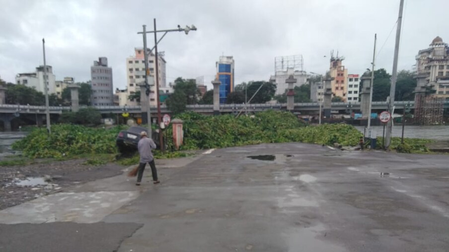 खडकवासला धरणातून मुठा नदीत झालेल्या विसर्गामुळे नदीपात्रातलं पाणी वाढलं. नदीतली सगळी जलपर्णी वाहात येऊन भिडे पुलाला अडकली.