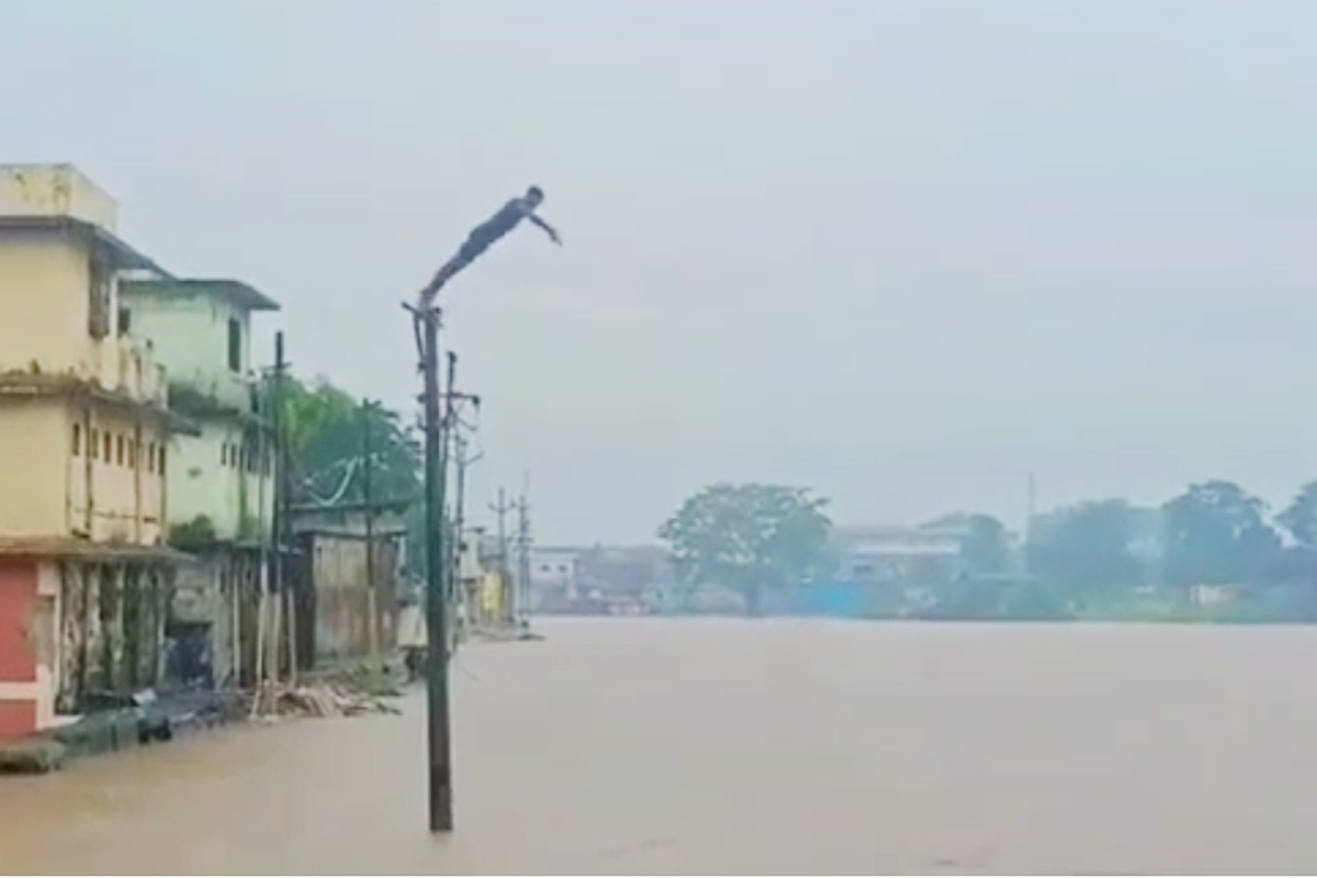 याने नादच केला थेट, विजेच्या खांबावर उभं राहून पुराच्या पाण्यात माकड उडी, LIVE VIDEO