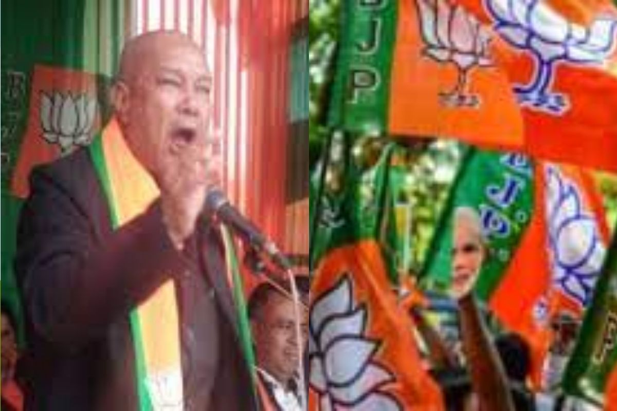 'मांस, मच्छी, मटणापेक्षा बीफ जास्त खा'; भाजप मंत्र्यांच्या सल्ल्यानंतर राजकीय वर्तुळात वादळ