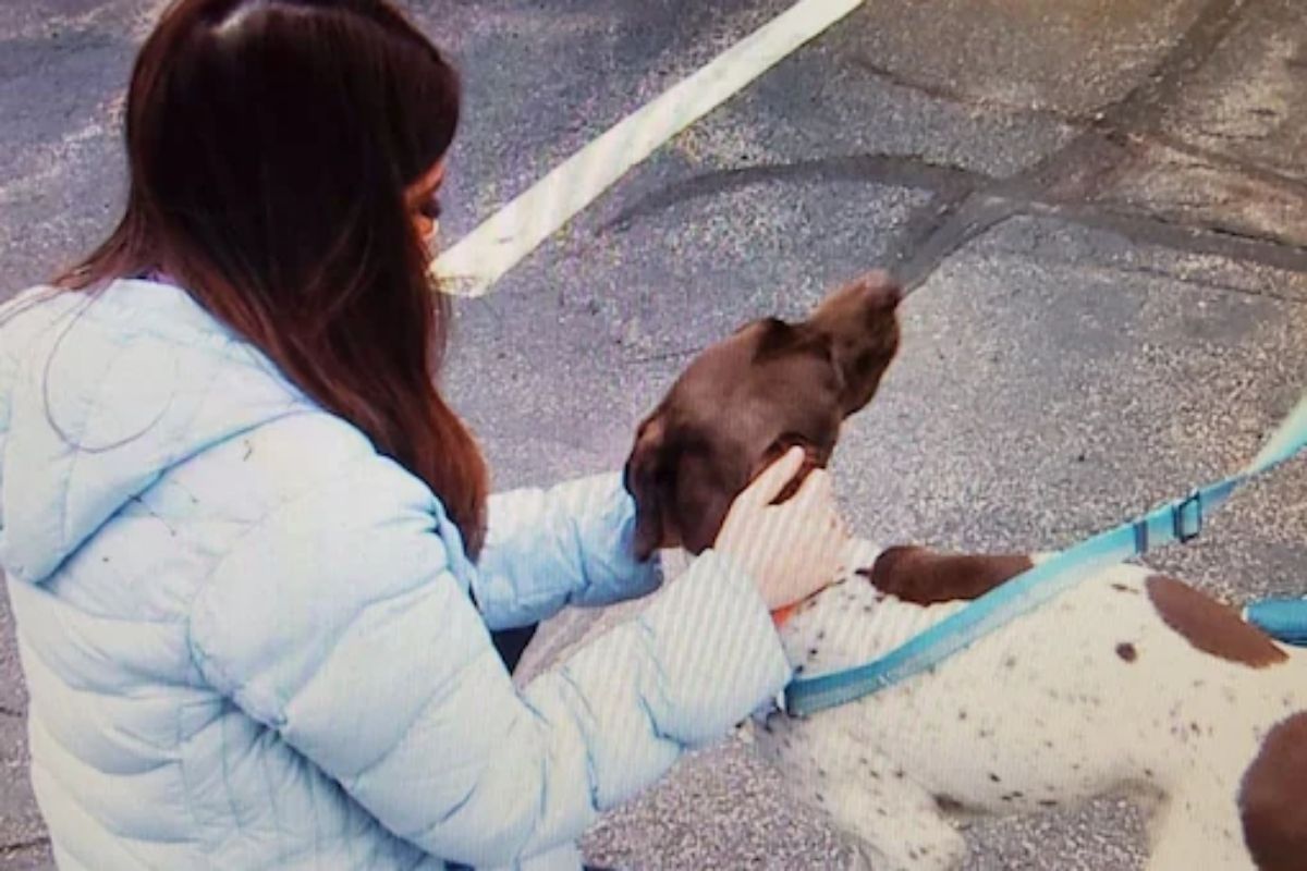 आईच्या अंगावर कुत्रा भुंकल्यानं लेक चवताळला; पुण्यात श्वानाच्या मालकीणीला बेदम मारहाण