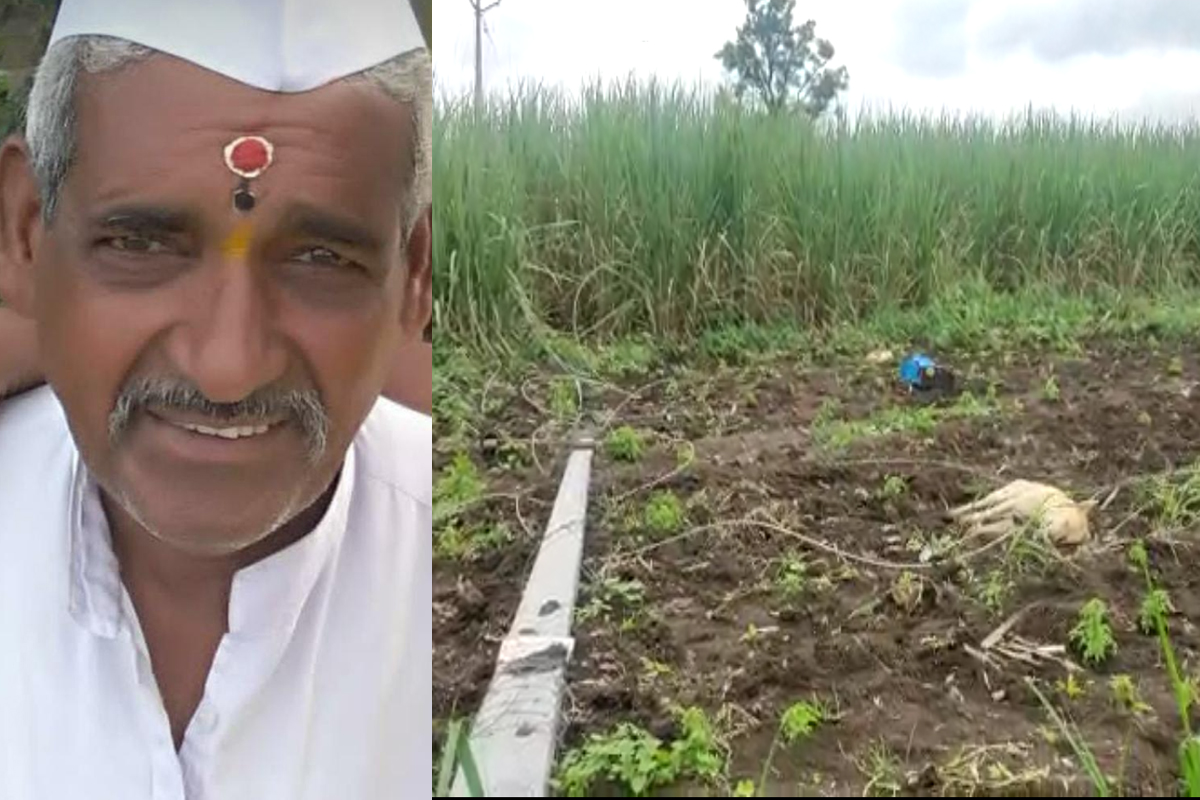 मालक आणि मुलाला बसला विजेचा धक्का, पाळीव कुत्र्याने तोंडात तार धरून खेचली पण...