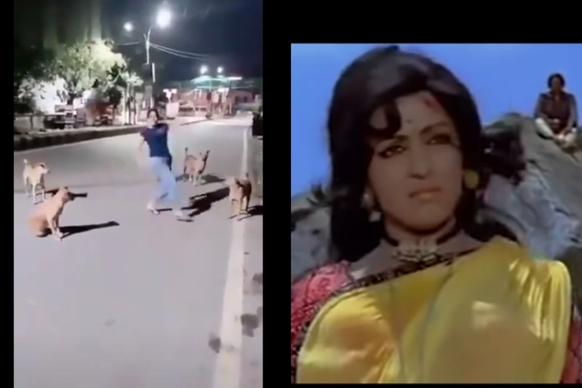 कुत्र्यांसमोर नाचणाऱ्या 'बसंती'चा डान्स सुपरहिट; इंटरनेटवर तुफान व्हायरल होतोय VIDEO