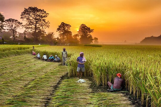 PM Kisan: खूशखबर! लवकरच शेतकऱ्यांच्या खात्यात येणार 2000 रुपये, तपासा तुमचं नाव यादीमध्ये आहे की नाही?