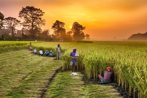 ई-पीक पाहणीमुळे राज्यातील पिकांचे अचूक क्षेत्र कळणार आहे, त्यामुळे राज्यातील आर्थिक पाहणी आणि कृषी नियोजन करणे शक्य होणार आहे