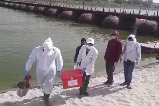 गंगा नदीच्या पाण्यात कोरोना नाही; मात्र आढळले 'हे' हानिकारक विषाणू