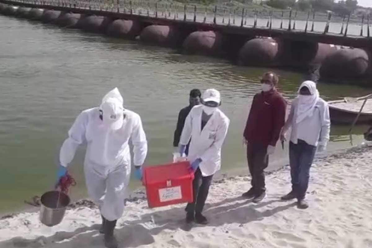 गंगा नदीच्या पाण्यात कोरोना नाही; मात्र आढळले 'हे' हानिकारक विषाणू