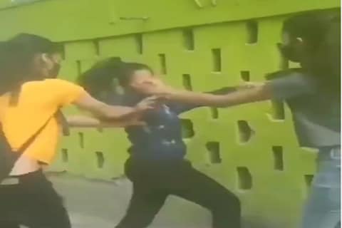 तरुणींच्या फ्री-स्टाईल हाणामारी (Girl's fighting video) व्हिडीओ व्हायरल होतो आहे.