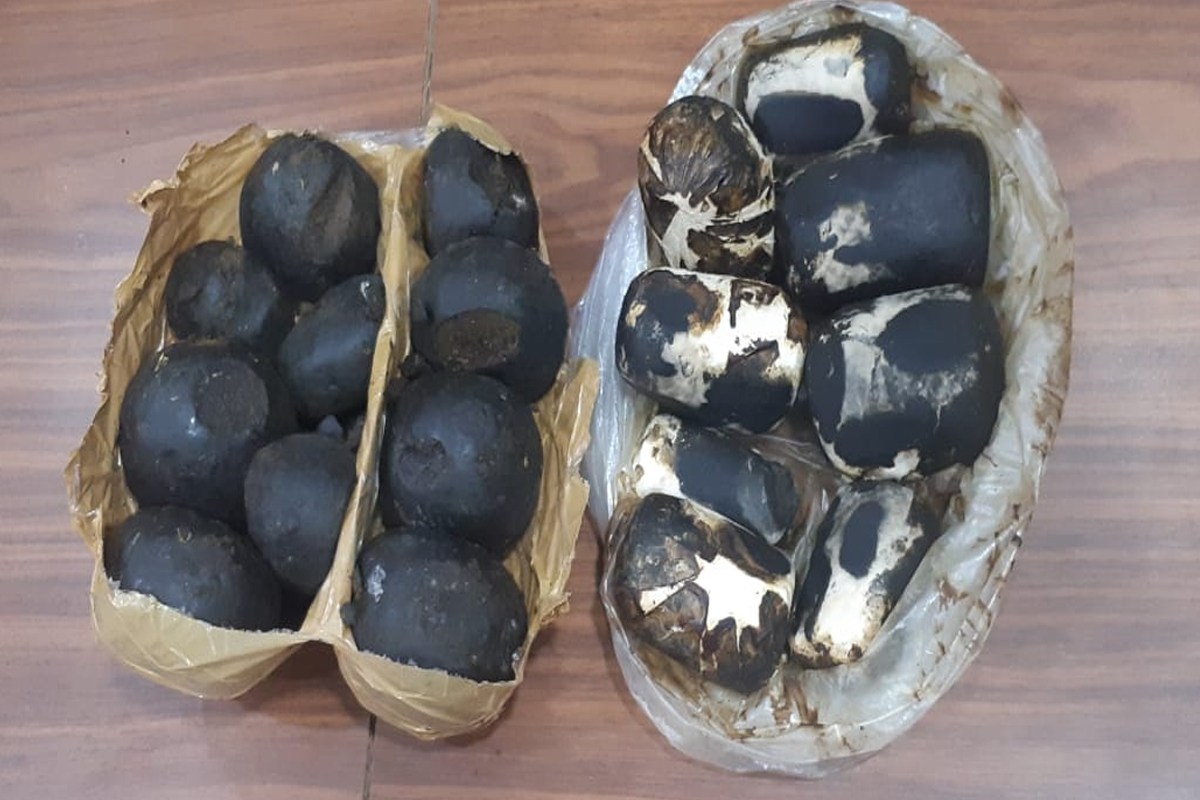 देवाच्याच दारात मांडला धंदा, तब्बल दीड किलो गांजा विकताना रंगेहाथ पकडलं!