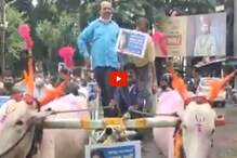 VIDEO: कोल्हापुरातील व्यापाऱ्यांचा आनंद गगनात मावेना, काढली बैलगाडीतून रॅली VIDEO: कोल्हापुरातील व्यापाऱ्यांचा आनंद गगनात मावेना, काढली बैलगाडीतून रॅली