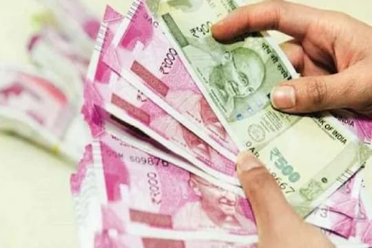 घरबसल्या करता येणाऱ्या मायक्रोग्रीन शेतीबद्दल माहिती आहे का? कमाईचा चांगला पर्याय