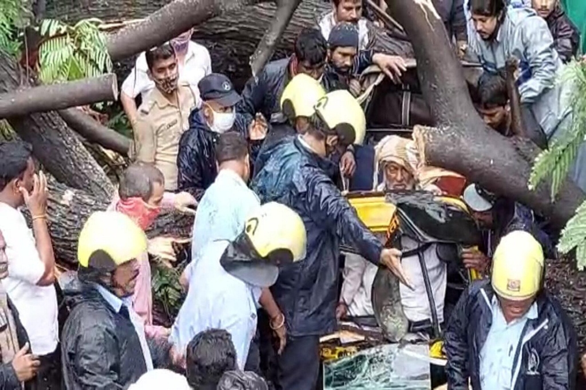 वादळी वाऱ्यामुळे रिक्षावर कोसळलं मोठं झाड, सुदैवाने रिक्षाचालकाचे वाचवले प्राण..