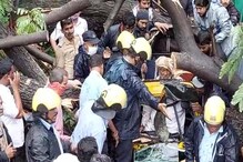 वादळी वाऱ्यामुळे रिक्षावर कोसळलं मोठं झाड, सुदैवाने रिक्षाचालकाचे वाचवले प्राण.. वादळी वाऱ्यामुळे रिक्षावर कोसळलं मोठं झाड, सुदैवाने रिक्षाचालकाचे वाचवले प्राण..