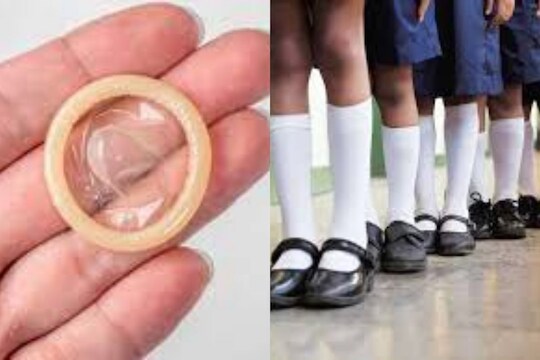 पाचवीपासून विद्यार्थ्यांना मोफत कंडोम; 'या' शाळांच्या नव्या पॉलिसीमुळे मोठा गदारोळ