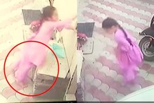 8 वर्षांच्या चिमुरडीचा साप चावल्यानं मृत्यू; CCTV मध्ये समोर आलं नेमकं काय घडलं 8 वर्षांच्या चिमुरडीचा साप चावल्यानं मृत्यू; CCTV मध्ये समोर आलं नेमकं काय घडलं