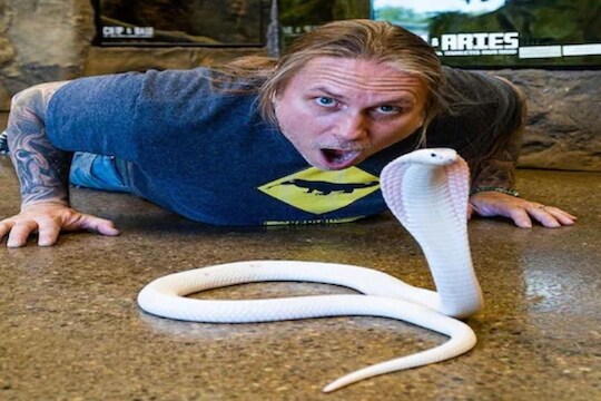 Shocking Video : अनेक महाकाय सापांचा 'बाप' आहे ही व्यक्ती; संपूर्ण अंगभर लटकत खेळतात ही 'बाळं'