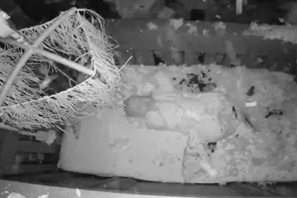 VIDEO - झाड कोसळल्याने अख्खं घर उद्ध्वस्त झालं; पण 5 महिन्यांच्या चिमुकल्याला साधं खरचटलंही नाही