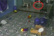 घराच्या बाहेर खेळणाऱ्या लहानग्याच्या मागे भयावह किंग कोब्रा; VIDEO मध्ये पाहा
