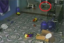 घराच्या बाहेर खेळणाऱ्या लहानग्याच्या मागे भयावह किंग कोब्रा; VIDEO मध्ये पाहा घराच्या बाहेर खेळणाऱ्या लहानग्याच्या मागे भयावह किंग कोब्रा; VIDEO मध्ये पाहा