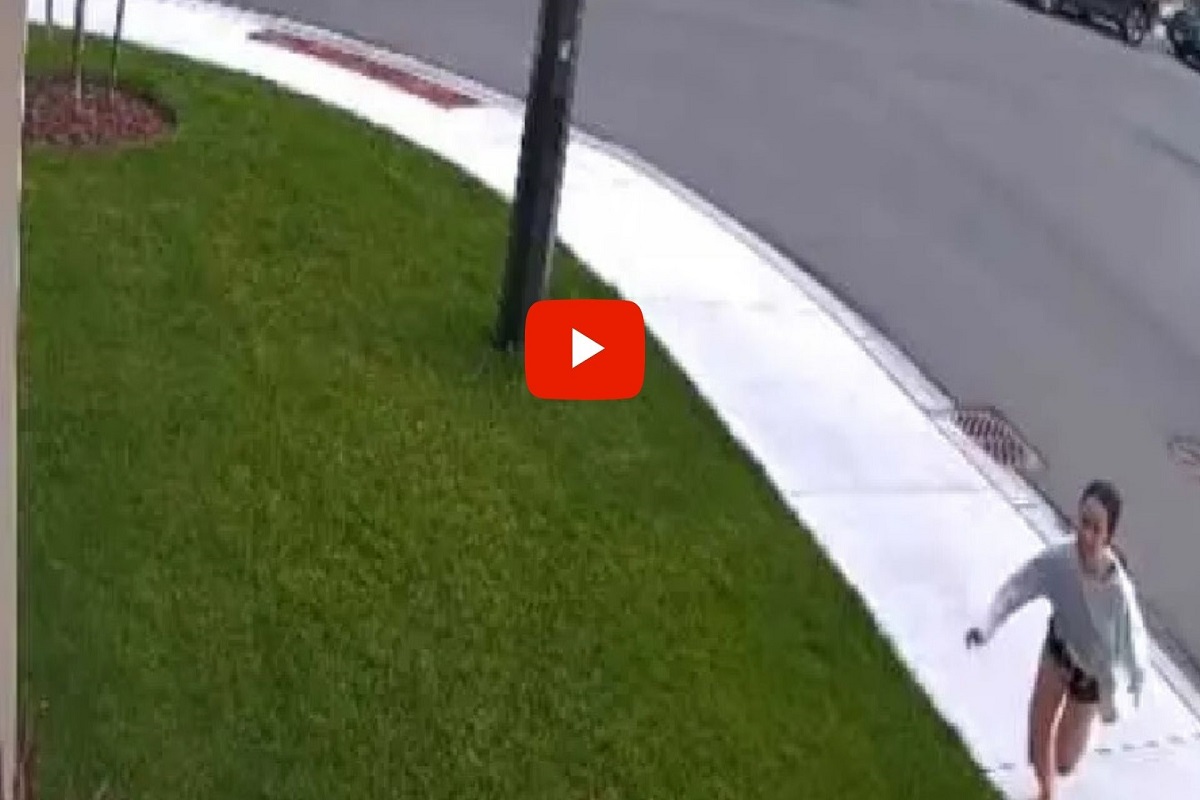 10 वर्षांच्या मुलीला वाचवण्यासाठी लहान कुत्रा आला पुढे, लढला हिंस्त्र प्राण्यासोबत; Video Viral