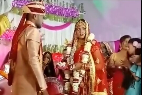 स्वातंत्र्याचं आंदोलन आहे कि लग्नाचा मंडप; वऱ्हाड्यांच्या घोषणांनी कार्यालय दुमदुमलं, पाहा मजेशीर VIDEO
