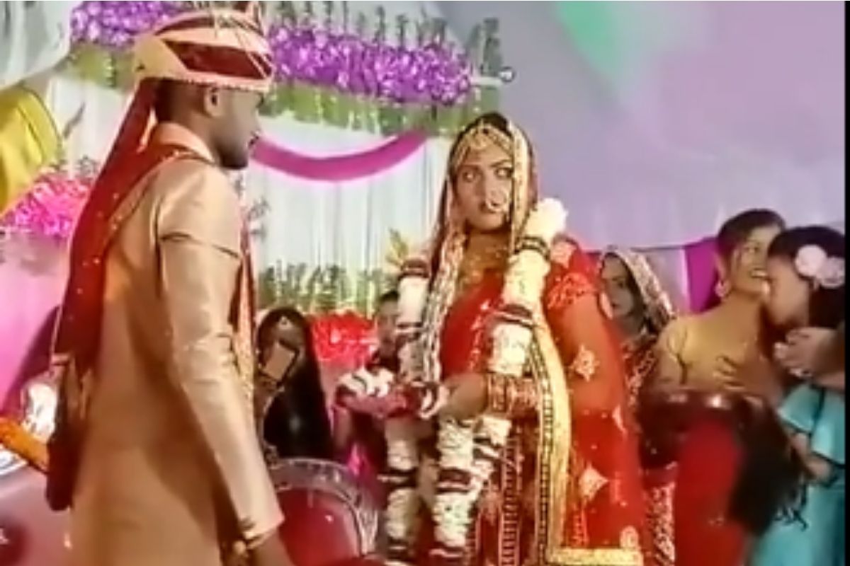 स्वातंत्र्याचं आंदोलन आहे कि लग्नाचा मंडप; वऱ्हाड्यांच्या घोषणांनी कार्यालय दुमदुमलं, पाहा मजेशीर VIDEO