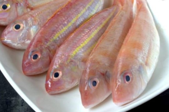 खरेदी करताना ताजे मासे कसे ओळखायचे? वाचा खास टिप्स