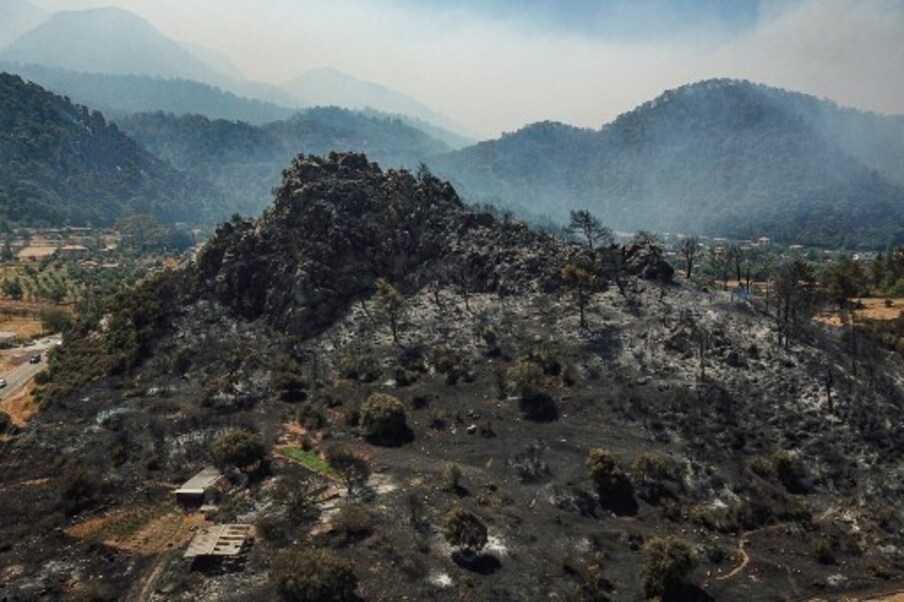 युरोपियन युनियनकडून आग विझवण्यासाठी दोन विमानं पाठवण्यात आली आहेत. 
