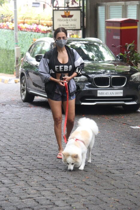 मलायका लवकरच एका शोमध्ये जज म्हणून दिसणार आहे.