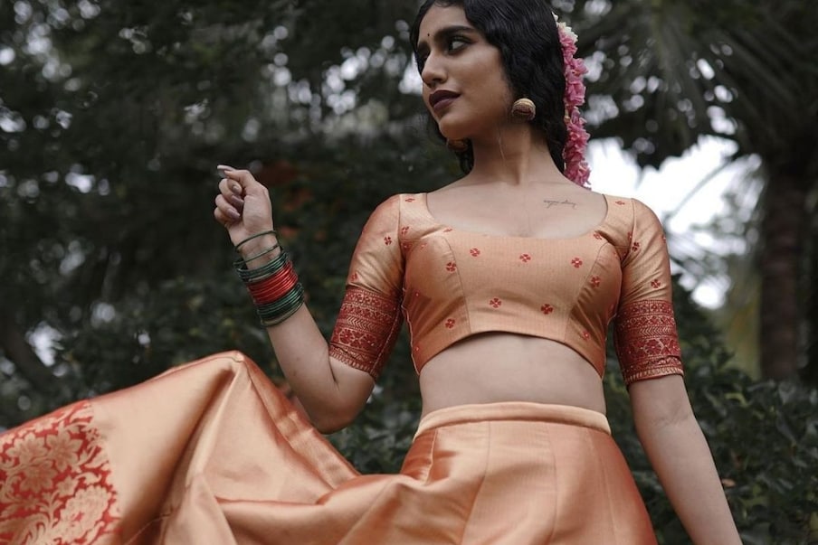 पारंपरिक वेशात तिने काही फोटो शेअर केले आहेत.