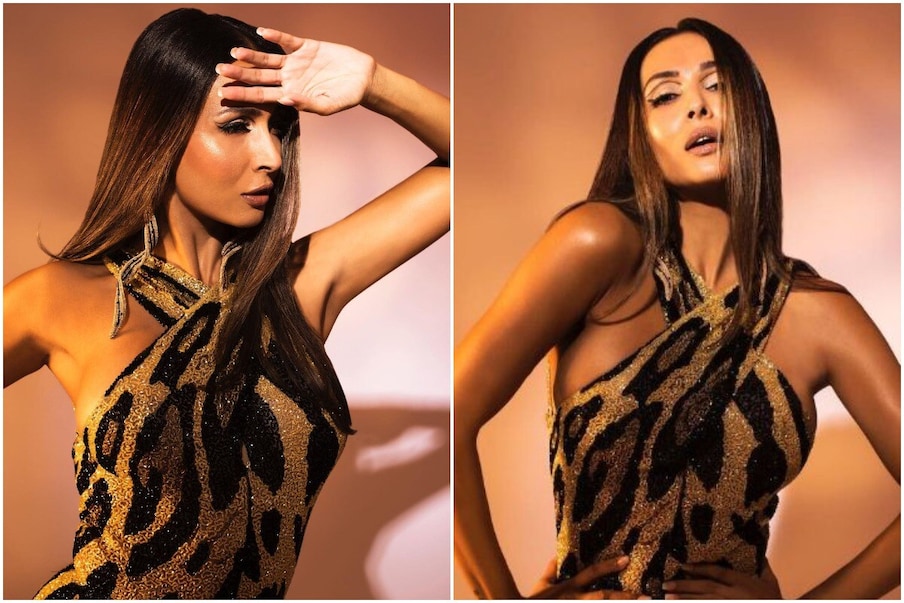 अभिनेत्री मलायका अरोरा (Malaika Arora) नेहमीच तिच्या लुकसाठी चर्चेत राहते. आताही तिने सुंदर गाउनमध्ये फोटोशुट केलं आहे. पाहा तिचे फोटो.