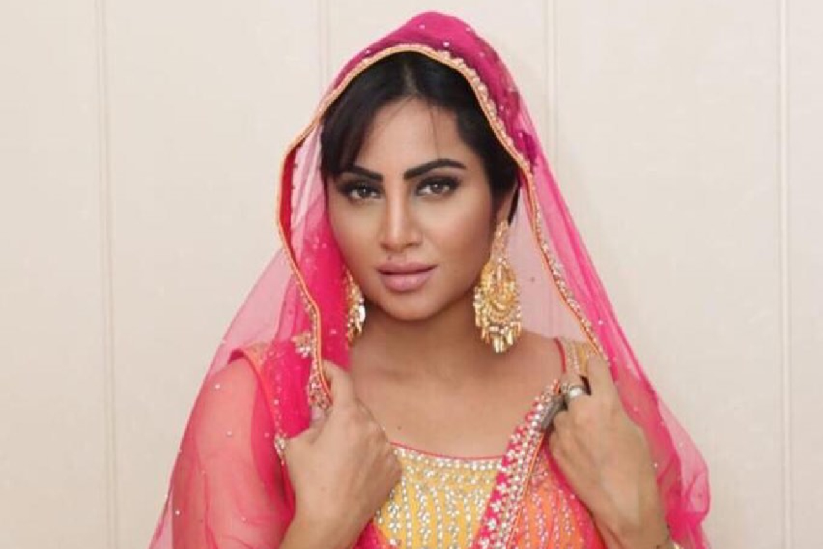 ‘मी भारतीय आहे पाकिस्तानी नाही’; अर्शी खानचं ट्रोलर्सला प्रत्युत्तर