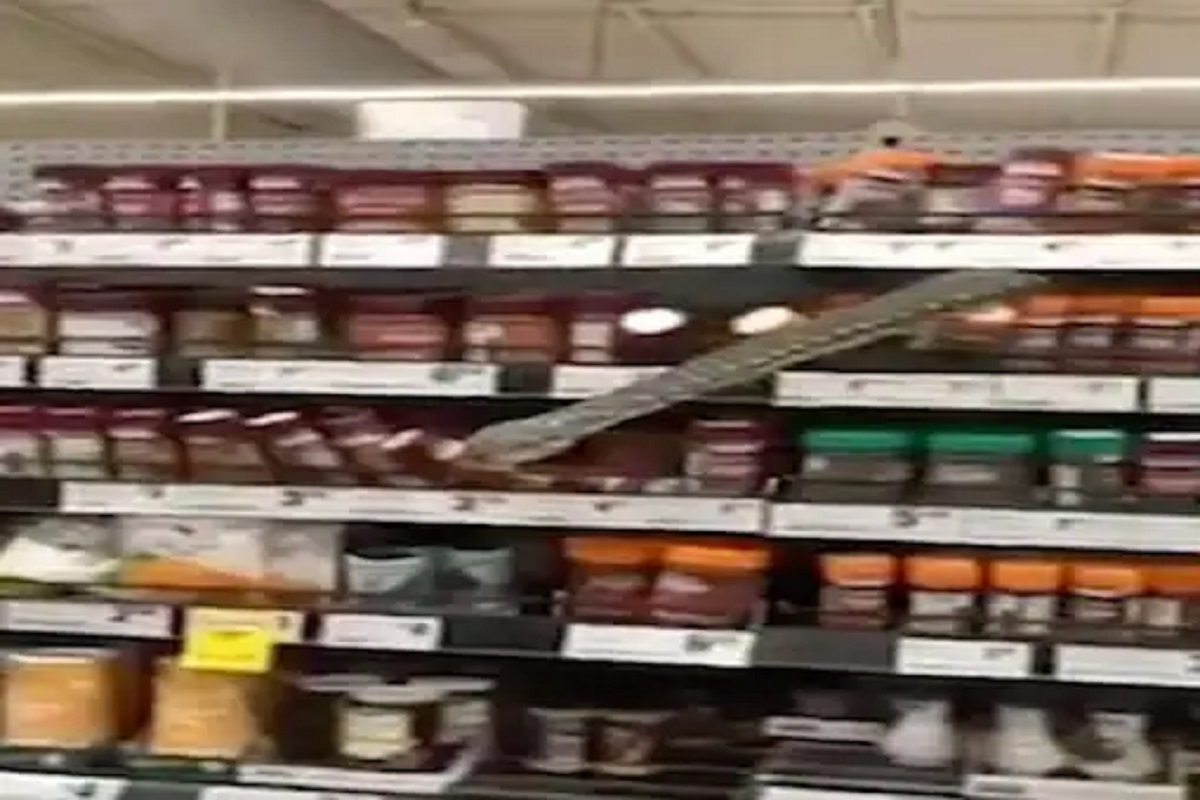 सुपरमार्केटमध्ये अजगर