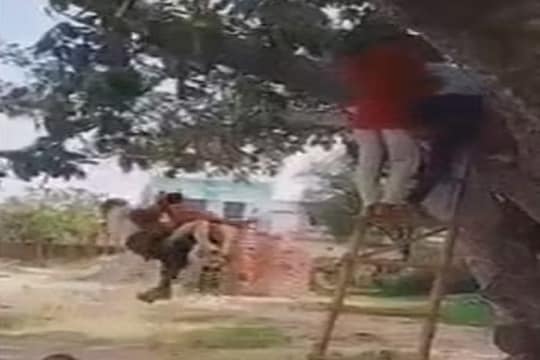 झुलता झुलता एकावर एक बसत गेले आणि तुटला झोपाळा; पुढे काय घडलं पाहा VIDEO