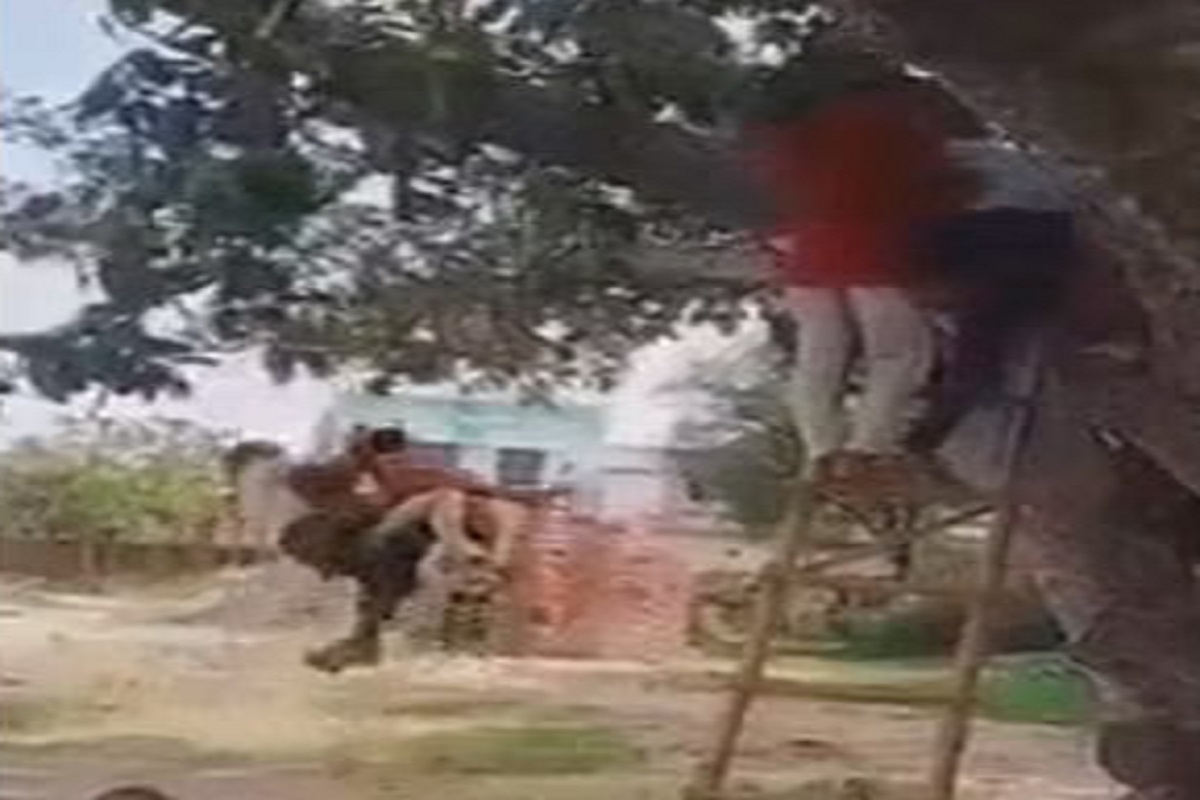 झुलता झुलता एकावर एक बसत गेले आणि तुटला झोपाळा; पुढे काय घडलं पाहा VIDEO