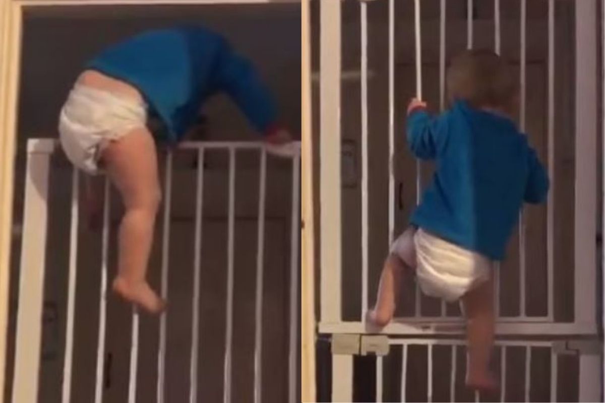 बापरे! 6 फूटाच्या दरवाजावर काही मिनिटातच चढला एक वर्षाचा मुलगा, फोटो पाहून बसणार नाही डोळ्यांवर विश्वास