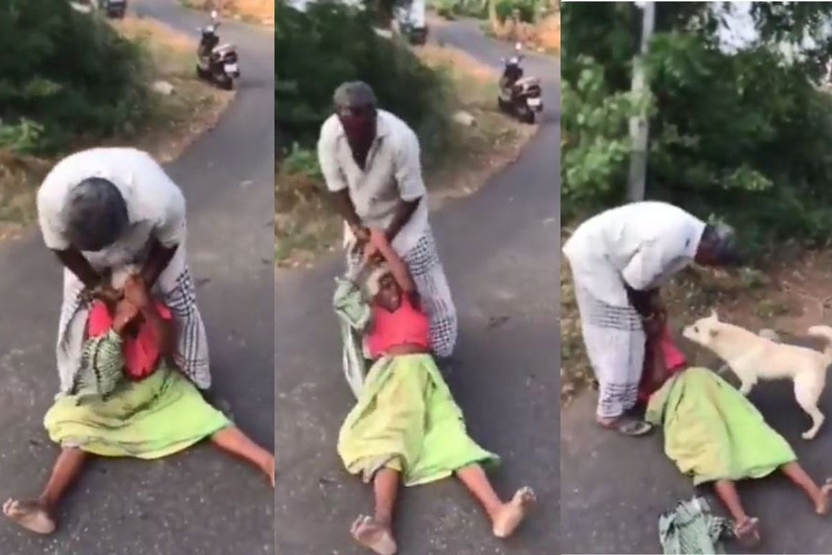 वृद्ध आईला अमानुष मारहाण करत होता मुलगा; कुत्र्यानं वाचवला महिलेचा जीव, हृदय पिळवटून टाकणारा VIDEO