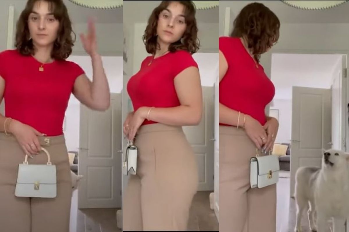 इंग्रजी बोलणाऱ्या कुत्र्याचा VIDEO घालतोय धुमाकूळ; मालकिणीला विचारलेला प्रश्न ऐकून सगळेच थक्क