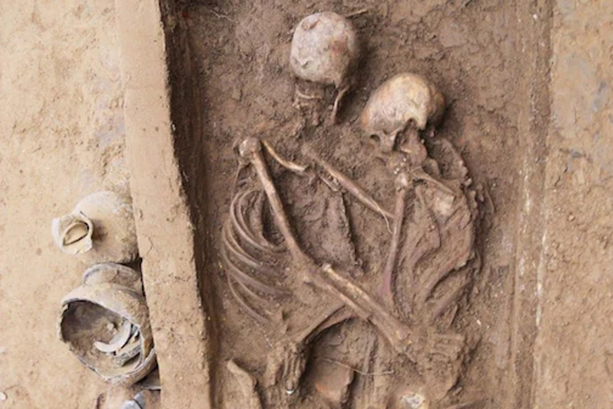 त्याच्या हाताचं हाड मोडलं असून, उजव्या हाताचं एक बोट गायब होतं आणि उजव्या पायाचं हाडही तुटलेलं होतं. महिलेचं वय 35 ते 40 वर्षांच्या दरम्यान असून...