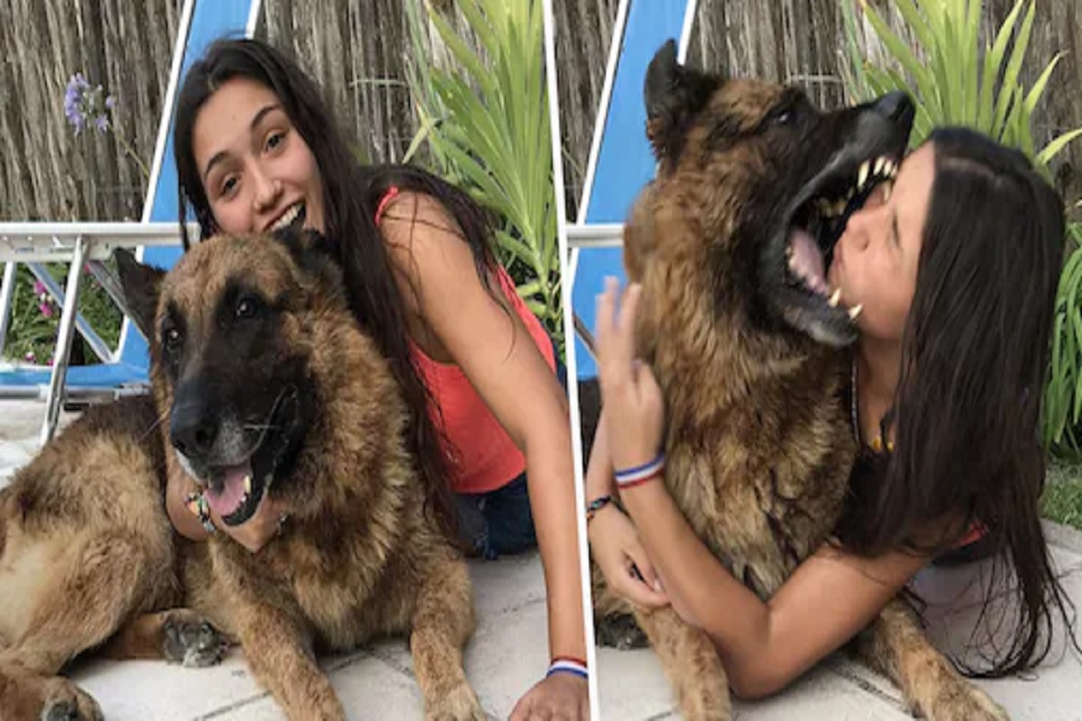 Pet dog सोबत फोटो पडला चांगलाच महागात; कुत्र्याने जबड्यात धरला तरुणीचा चेहरा आणि...