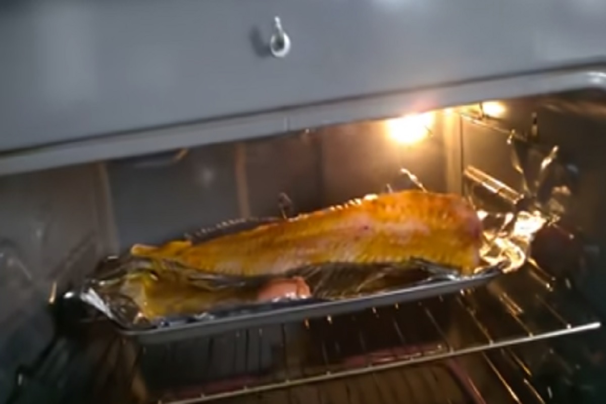 असं कसं शक्य आहे! ओव्हनमध्येच फडफडू लागला मासा, Viral Video पाहून व्हाल हैराण