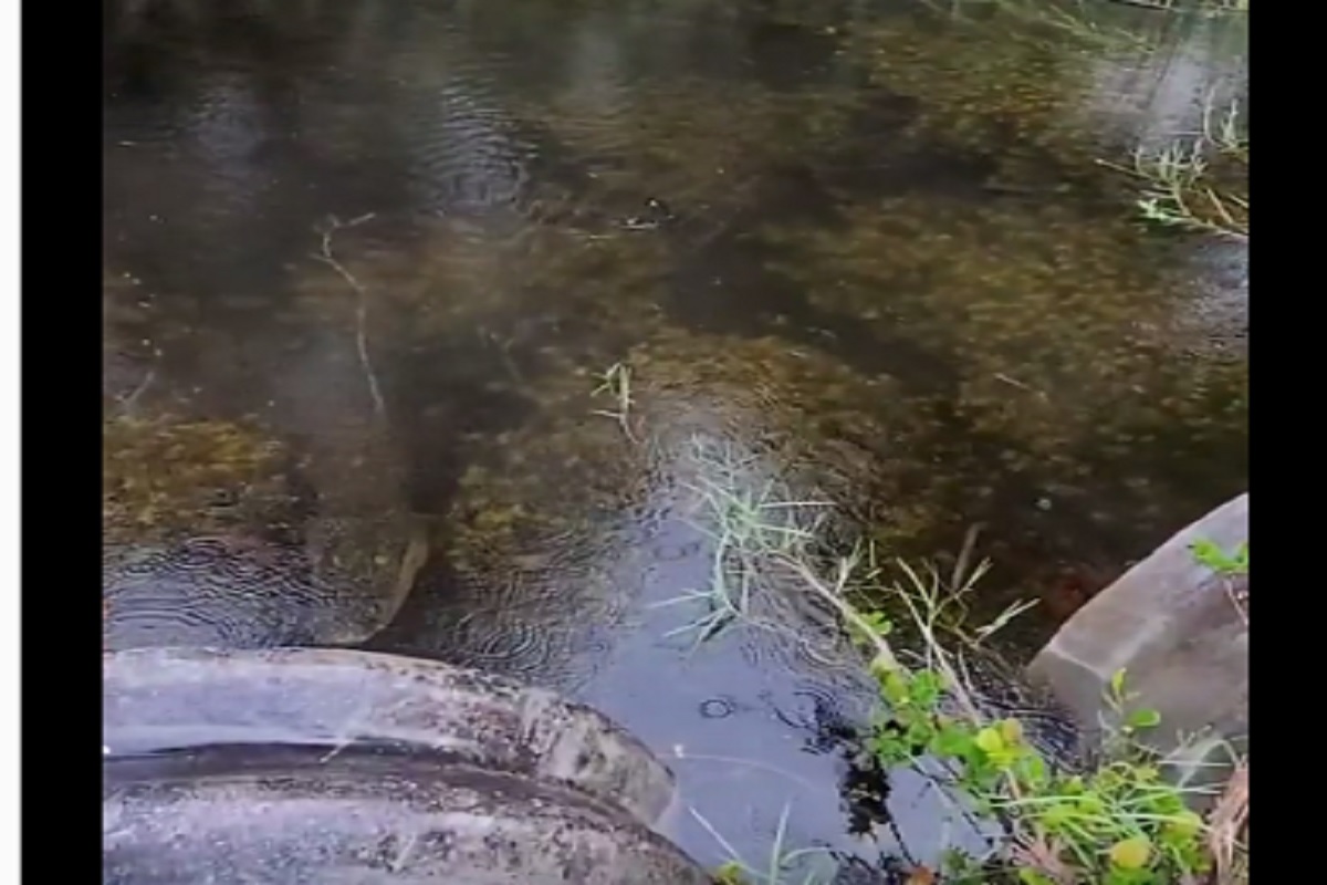 फोटो सौजन्य - इन्स्टाग्राम व्हिडीओ ग्रॅब