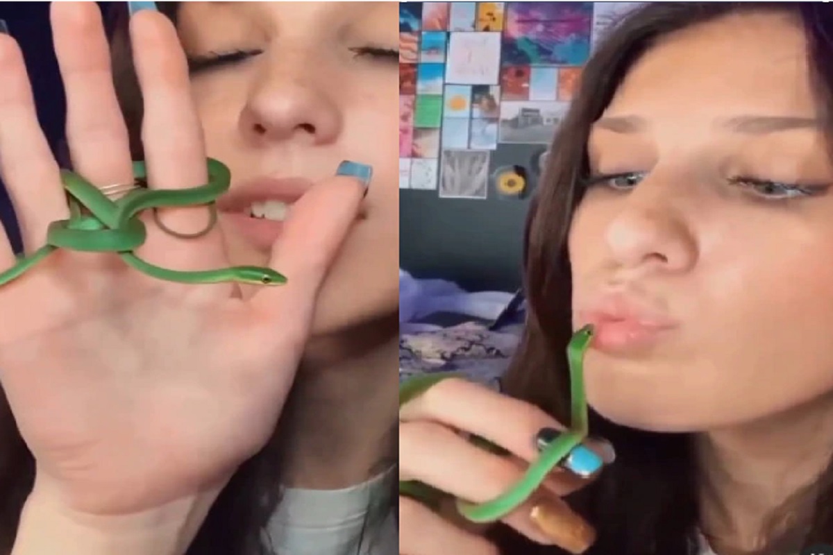 Shocking!  तरुणीचं भलतंच डेअरिंग, चक्क सापालाच केलं किस; Video पाहूनच हादराल