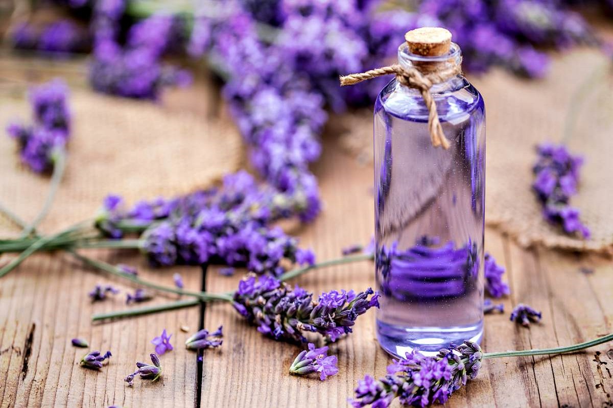 रक्षाबंधनआधी मिळवा इन्स्टंट ग्लो; घरच्या घरी लव्हेंडर, मधाचा फेस पॅक वापरून पाहा