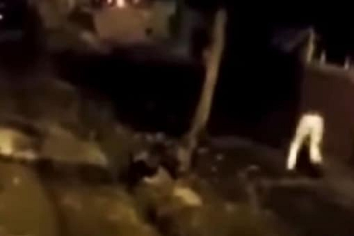 फोटो सौजन्य - युट्यूब व्हिडीओ ग्रॅब